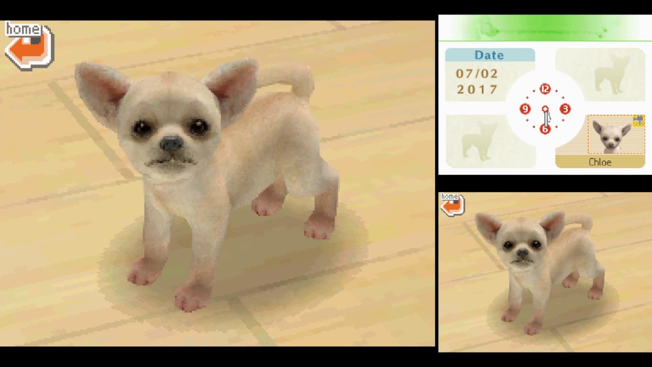 Let's Try [DS 0089] - Nintendogs: Chihuahua & Friends