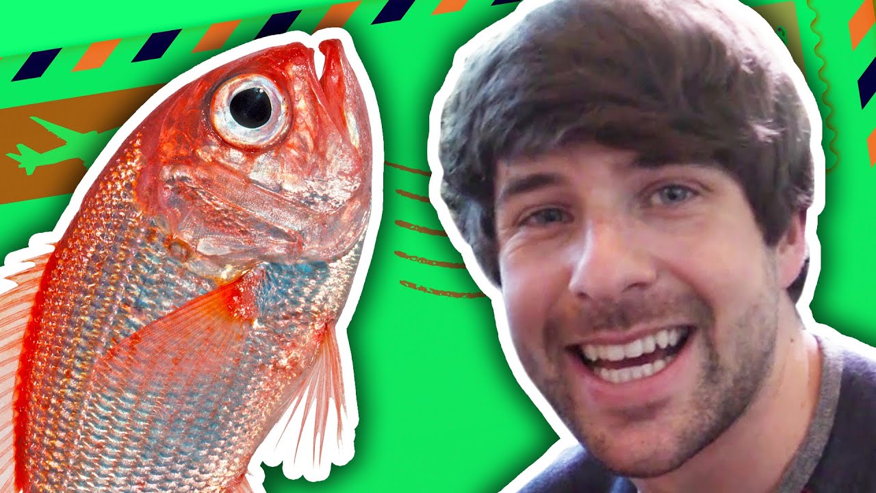 DEAD FISH IN OUR MAIL!