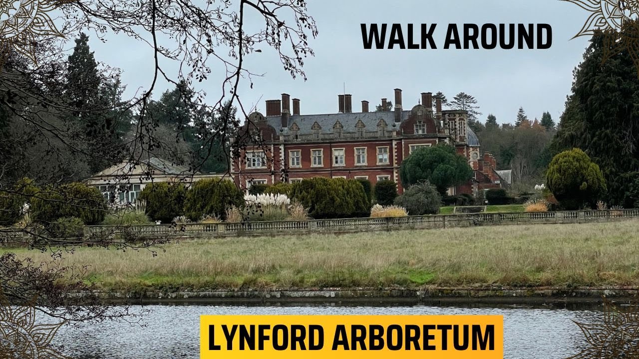 LYNFORD ARBORETUM WALK Relaxing Forest Walk & Giant Trees Near Thetford
