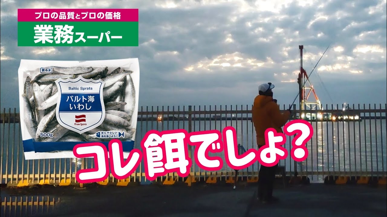 業務スーパーの「バルト海いわし」を餌にして釣りをしてみた
