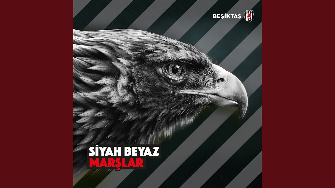 Anlayamaz Kimse Bu Aşkı