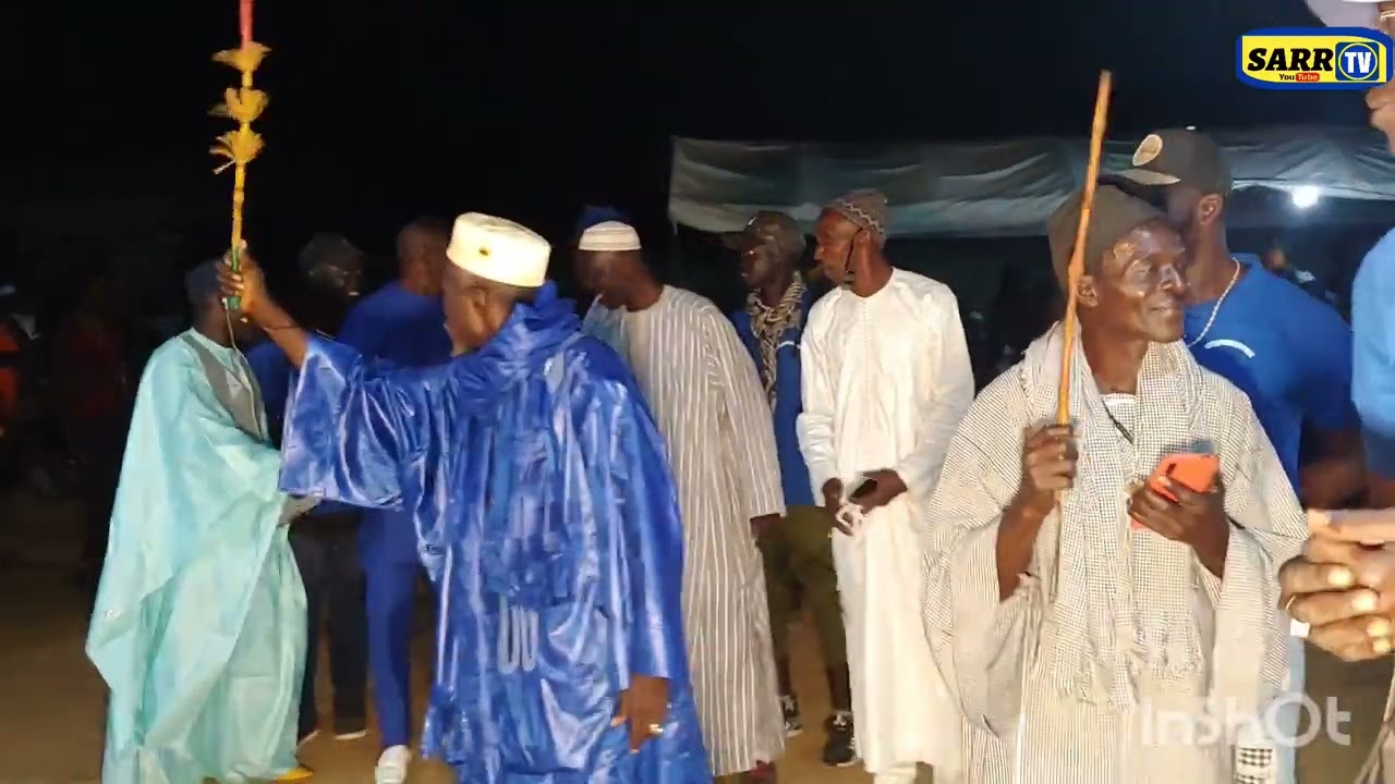 les salticke de thiallane a domicile 19 janvier 2024