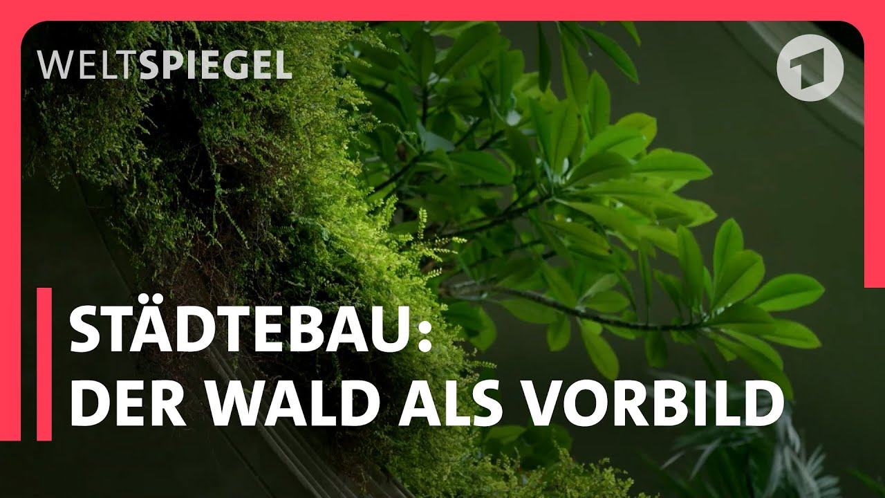 Singapur: Ideen gegen die Hitze in der Stadt  | Weltspiegel