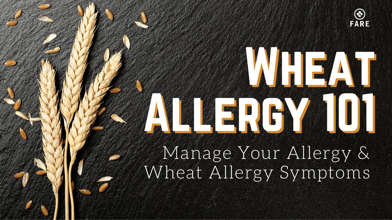 Food Allergy 101: Wheat Allergy Symptom | Wheat Allergy Food