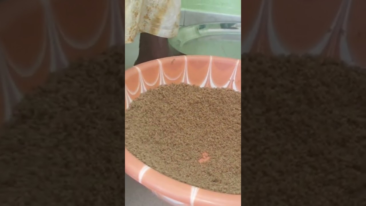 Thi&eacute;r&eacute; s&eacute;n&eacute;galais : Le couscous de mil 100% local ! #Shorts