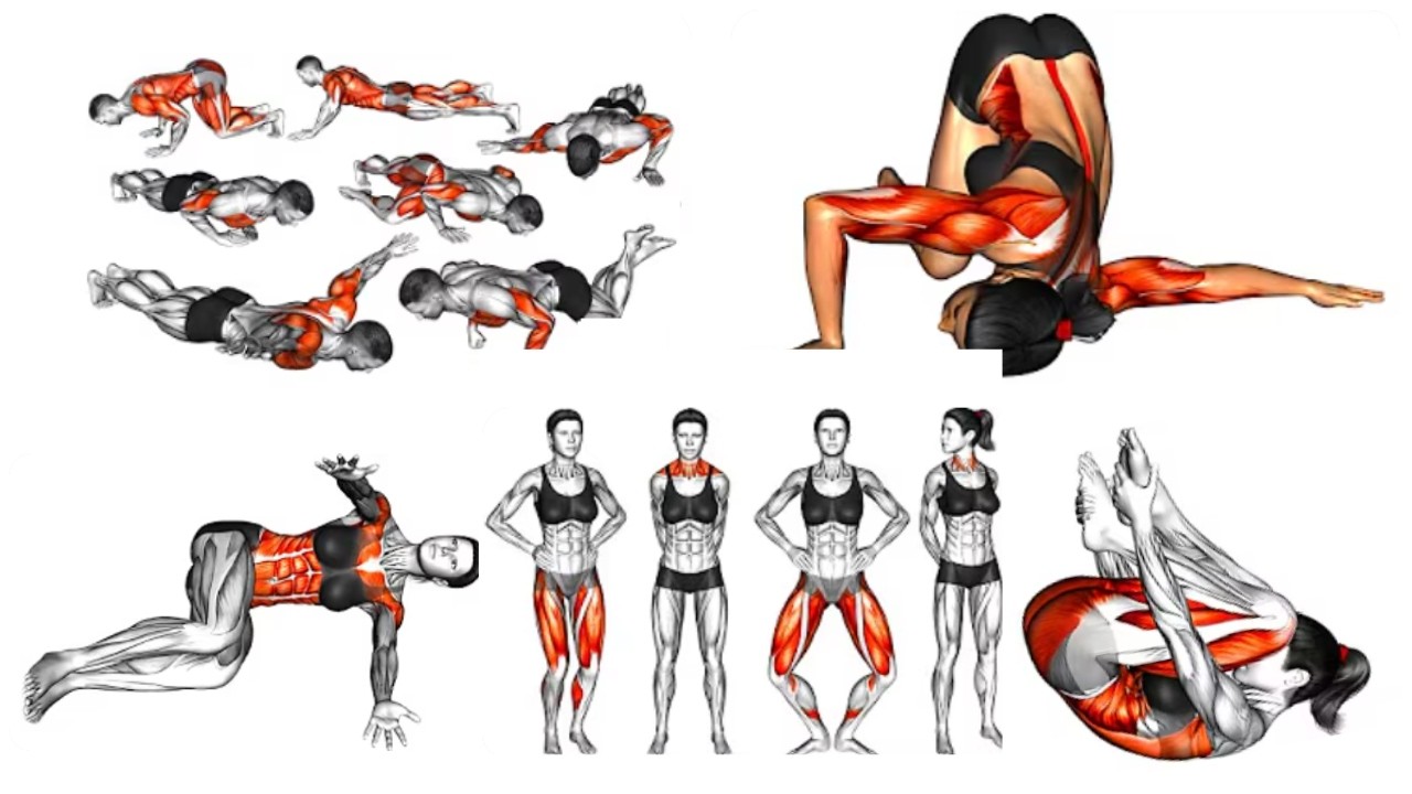 The #1millionviews  Method To Lose Belly Fat NO CARDIO Compilations