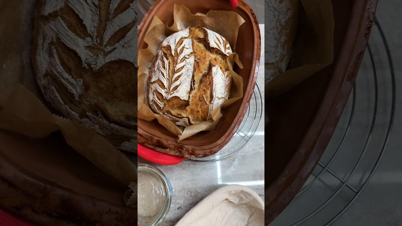 Brot backen f&uuml;r Anf&auml;nger 🤤 einfach lecker! #shorts Mamiseelen