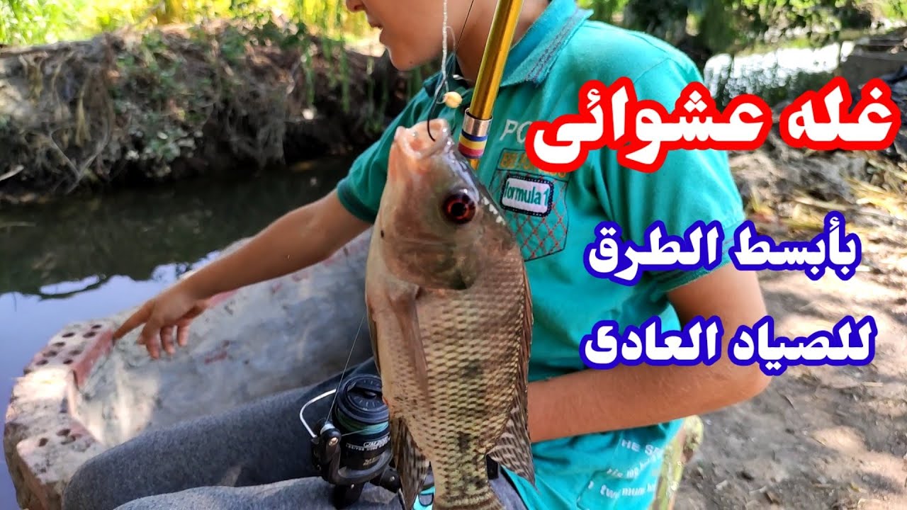 فيديو صيد غله عشوائى وطريقة الصيد ونوع الغله المستخدم واحلى شوية سمك خنينى ووسط بمجهودنا