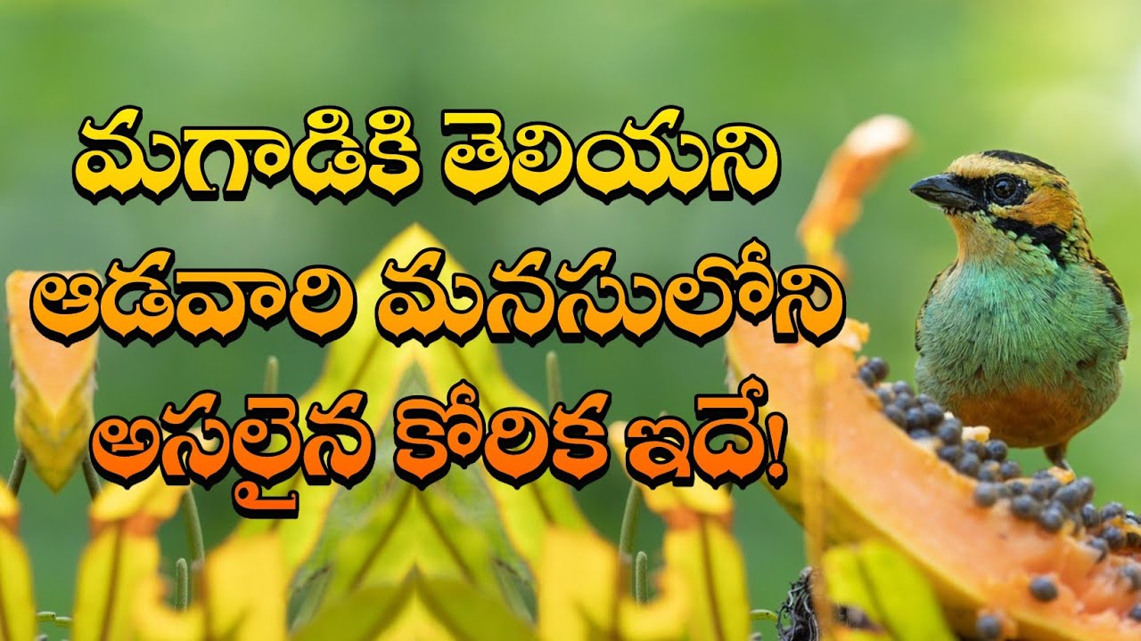 జీవిత సత్యాలు #374 |మంచి మాటలు|Inspirational quotes|Motivational quotes|సూక్తులు|Telugu quotes