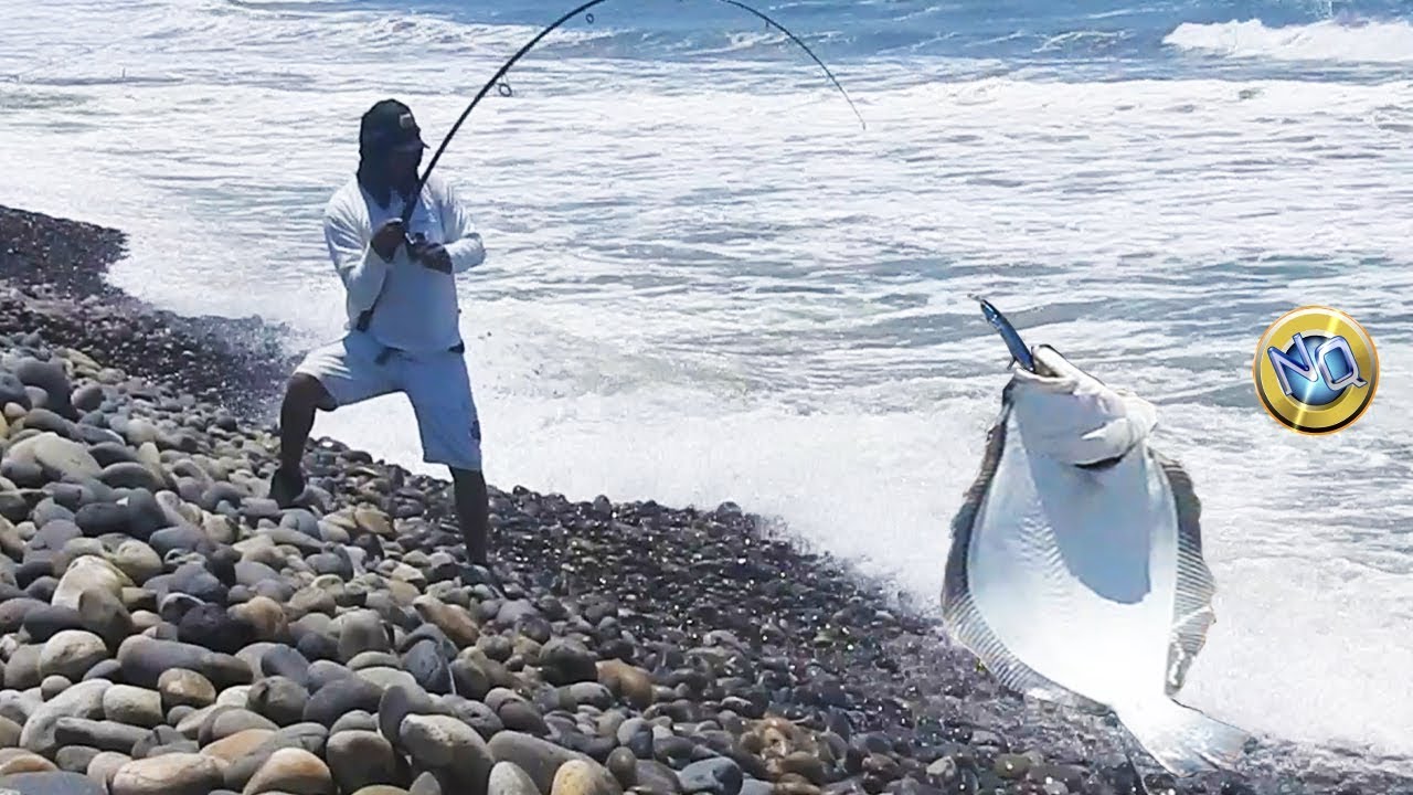 Posas y lugares de PESCA para Atrapar lenguados en Playas【Mira minuto 10:58 el salto del pez plano】