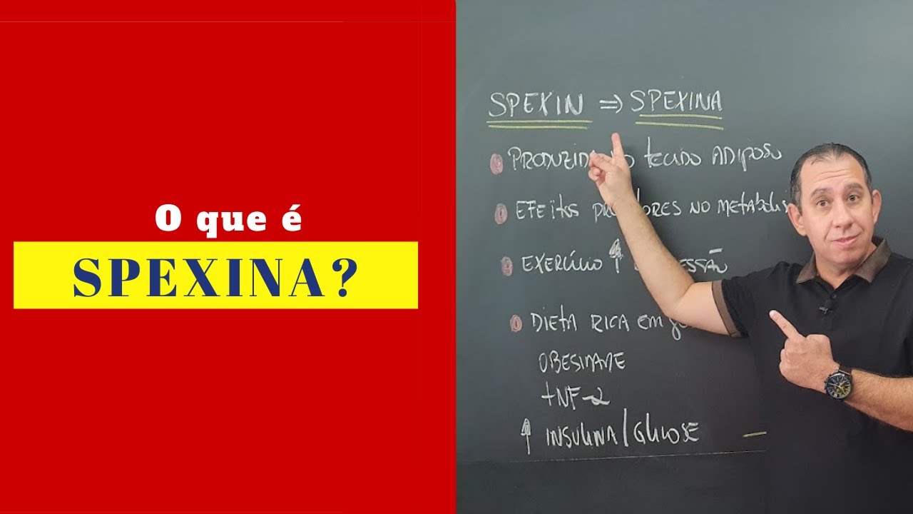 O que é Spexina? (adipocitocinas)