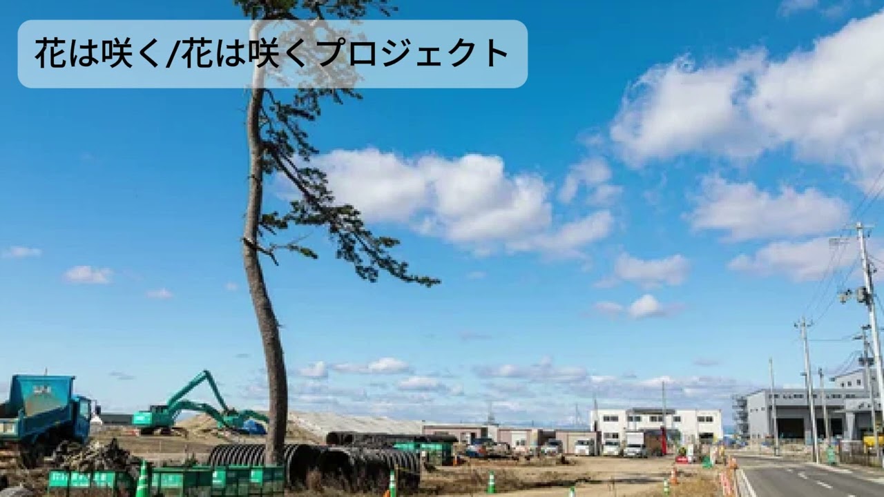 花は咲く/花は咲くプロジェクト covered by ボンハム (Twitch配信アーカイブ2025.11.07)