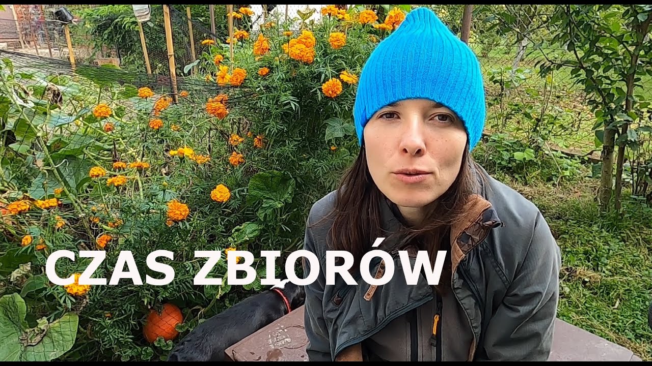 Sukcesy i porażki 😉. Dlaczego warto mieć własne warzywa?