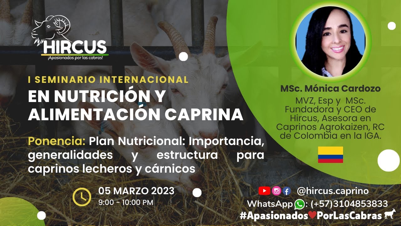 Plan Nutricional: Importancia, generalidades y estructura para caprinos lecheros y cárnicos
