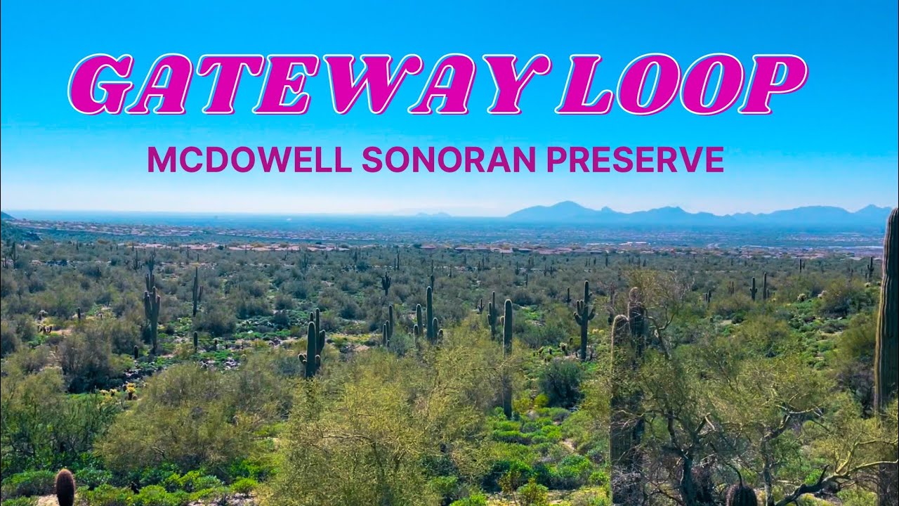 Sunday Hike in the McDowell Sonoran Preserve