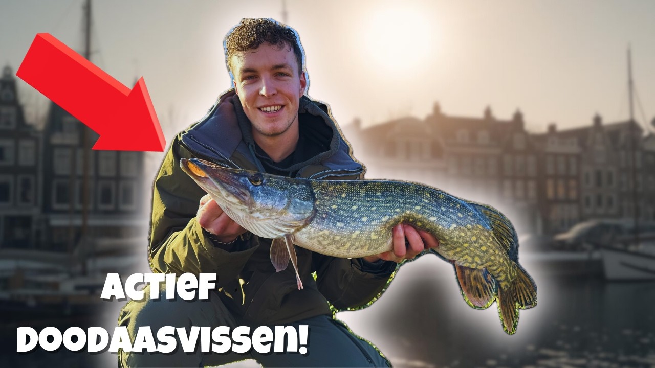 MEEST GEKKE AANBEET OP DOODAAS OOIT?! | VISbazen #50