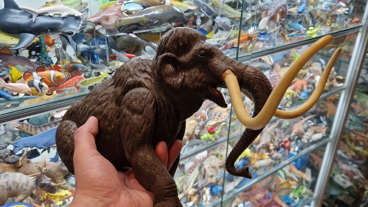 Ice Age; Woolly Mammoths