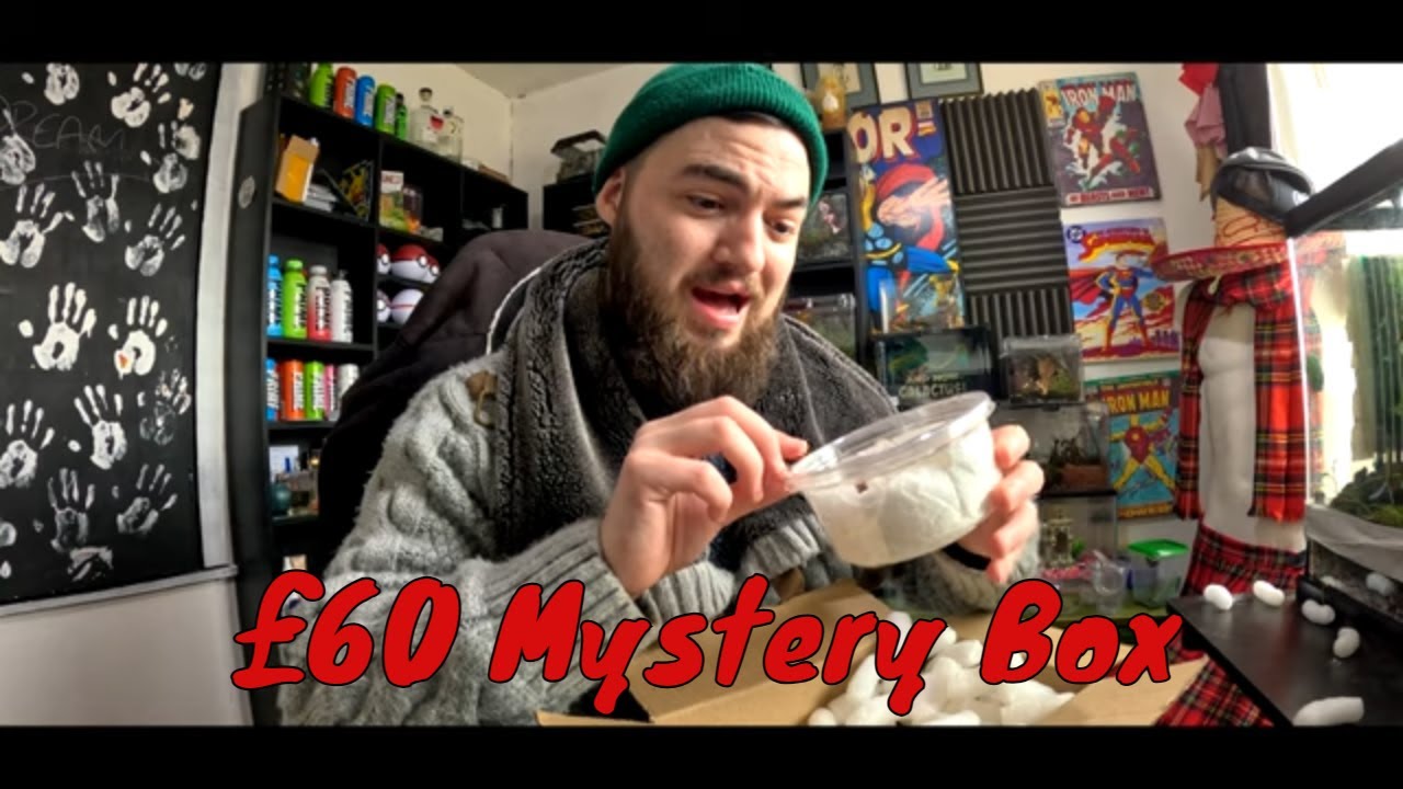Unboxing £60 Mystery Box From The Spider Shop And Creating Vivariums For Some Crazy Surprises
