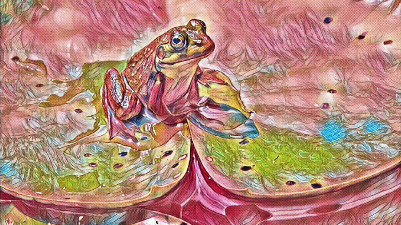 BILL JOBS - Lillypad