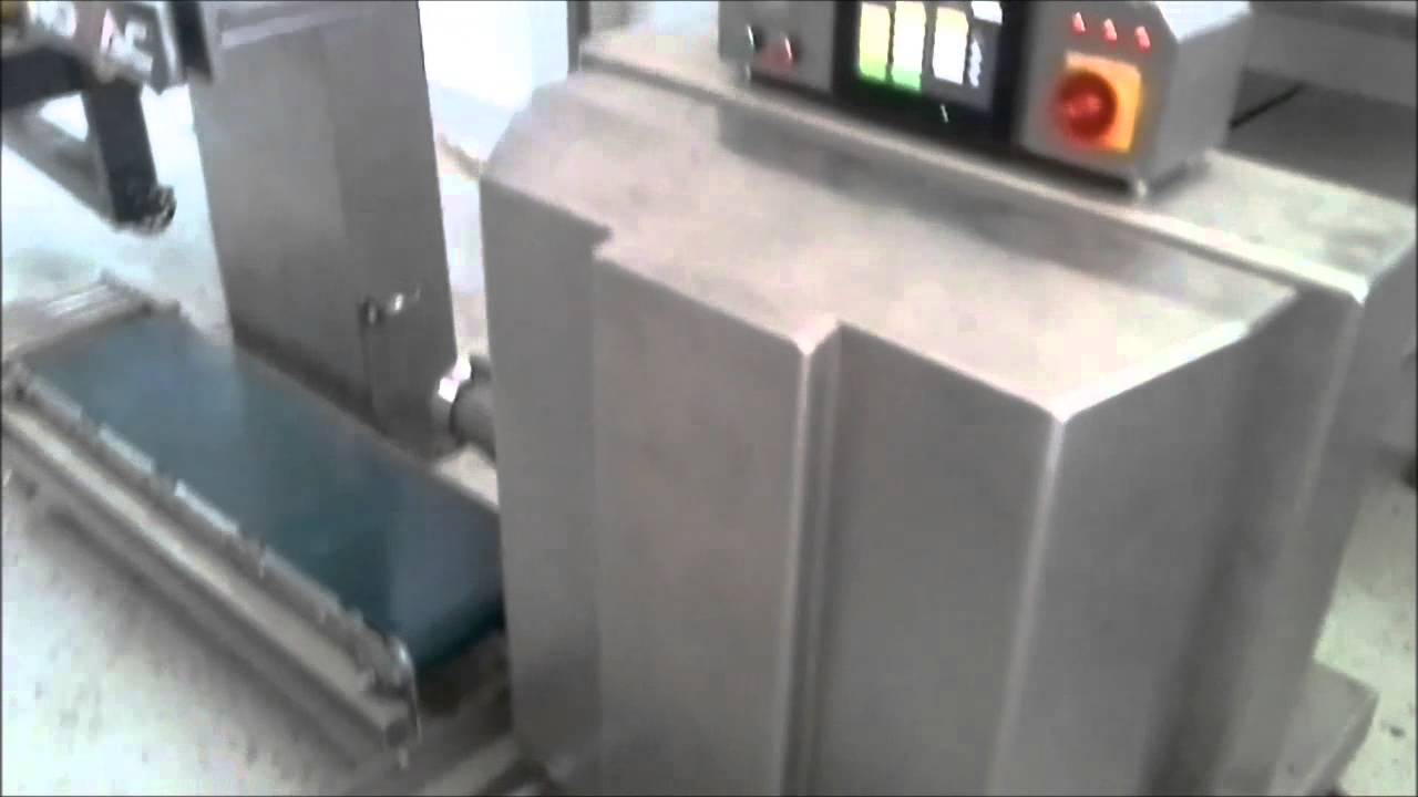 Otomatik Tartımlı Fındık Vakum Makinesi Defne 700