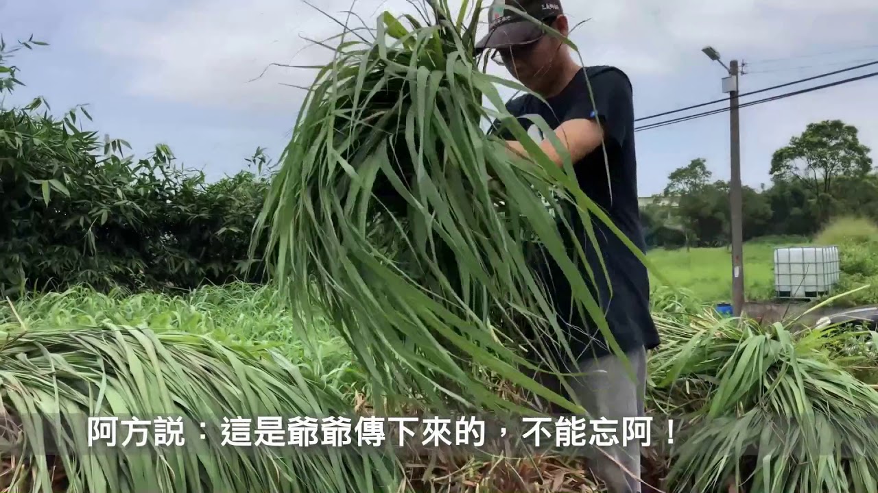 地方老產業 香茅新創生 -  農委會水土保持局輔導/ 茅鄉炭坊 #精油 #香茅精油