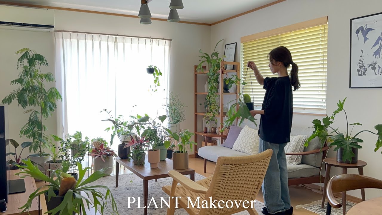 【観葉植物】植物,プランターで部屋の模様替え｜北鎌倉 明月院のあじさい｜インテリアグリーン