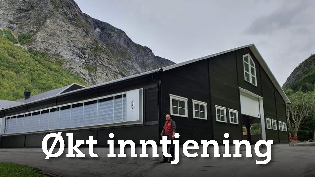 Økt inntjening i melkekufjøset