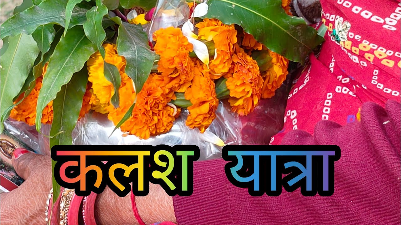 कलश यात्रा |  Kalash Yatra @minuskitchenartsandvlogs179 