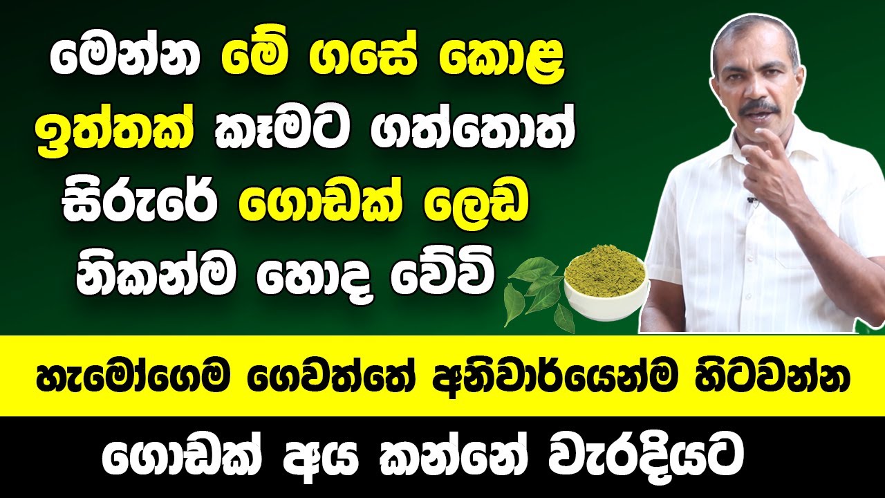 මෙන්න මේ ගසේ කොළ ඉත්තක් කෑමට ගත්තොත් | ඇගේ තියෙන ලෙඩ ගොඩක් නිකන්ම හොද වෙනවා |ගොඩක් අය කන්නේ වැරදියට