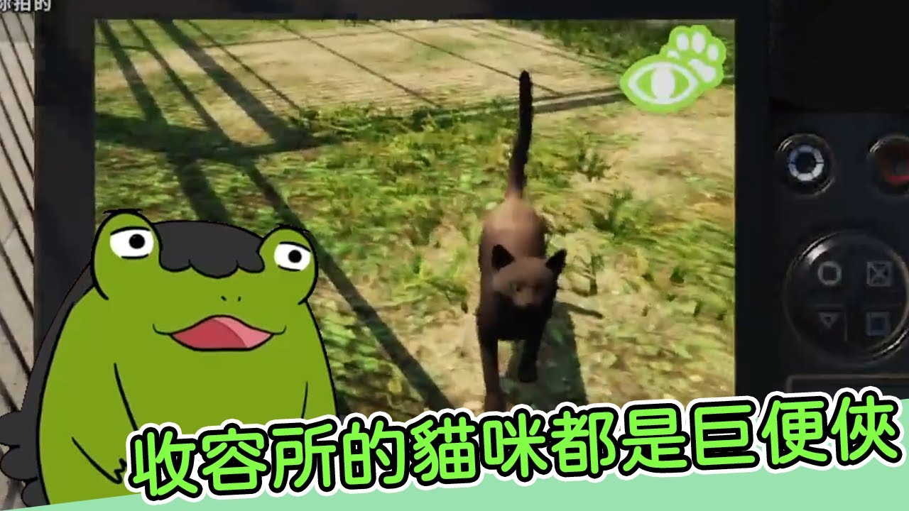 【老王】能吃能睡能拉的都是好貓！｜動物收容所 Animal Shelter｜實況精華