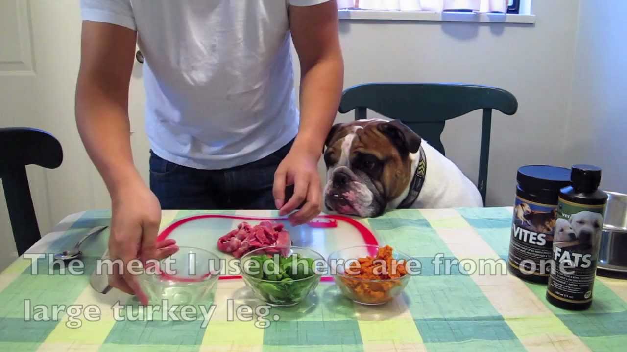 Good Food, Good Dog - Yummy Turkey Dinner - Raw dog food