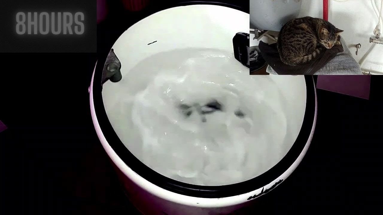 стиральная машина FRANIA + спящий кот + позитивная вибрация = бессонная ночь 😅