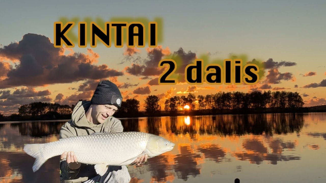 Rudeninė karpių žūklė Kintuose / 2 dalis