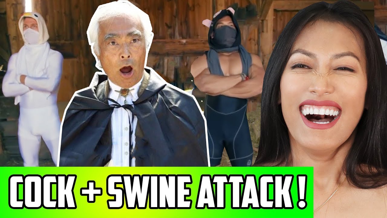Chicken Pig Attack -The Return Of Takeo Reaction | Shmoyoho On A Roll! Takeo Ischi Getting Busy!