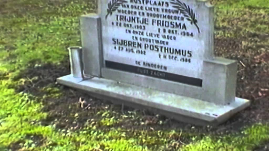 Jorwerd Fridsma journey the Dutch Landsmeer Fridsma connection by Dr  Herman Fridsma ND 2003