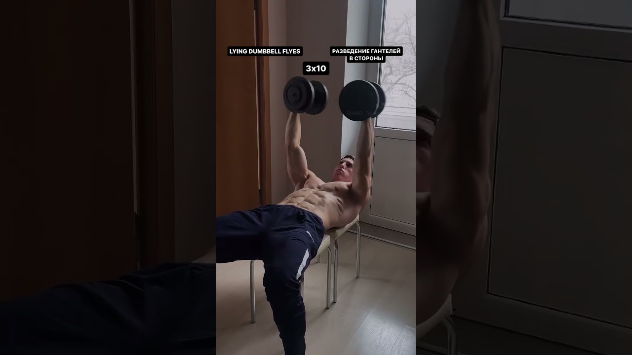 Тренировка груди с гантелями в ДОМА⚡️ #fitness #bodybuilding #фитнес #тренировка #chestworkout