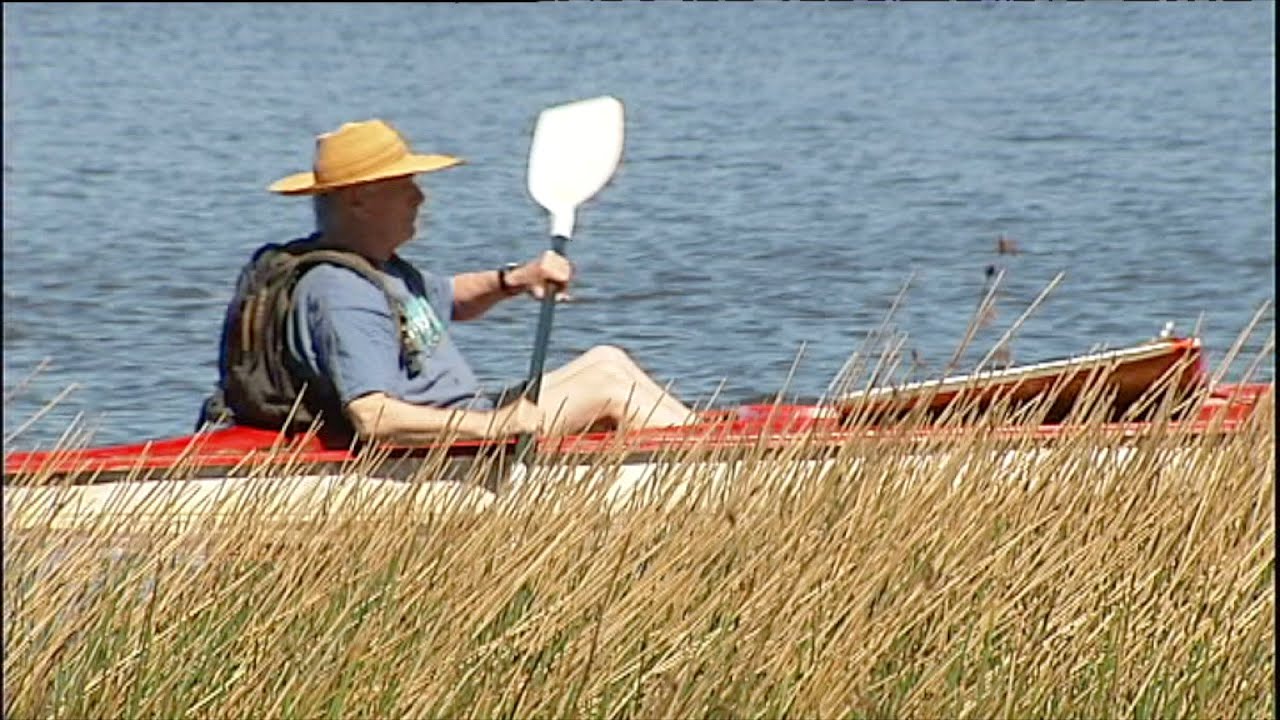John Wolseley - 'Heartlands and Headwaters' [HD] Books and Arts, ABC RN