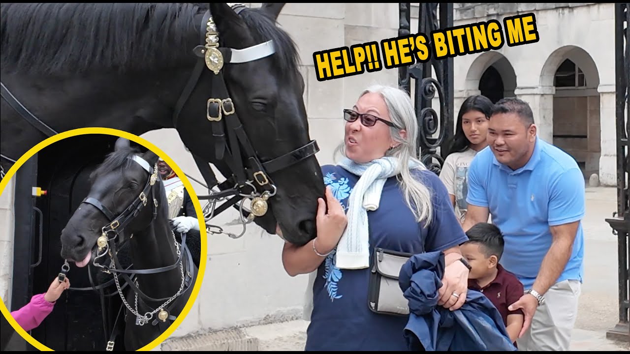 NEW NIPPY HORSE!! HELP!! HE'S BITING ME!! IDIOT PULL THE REINS!!