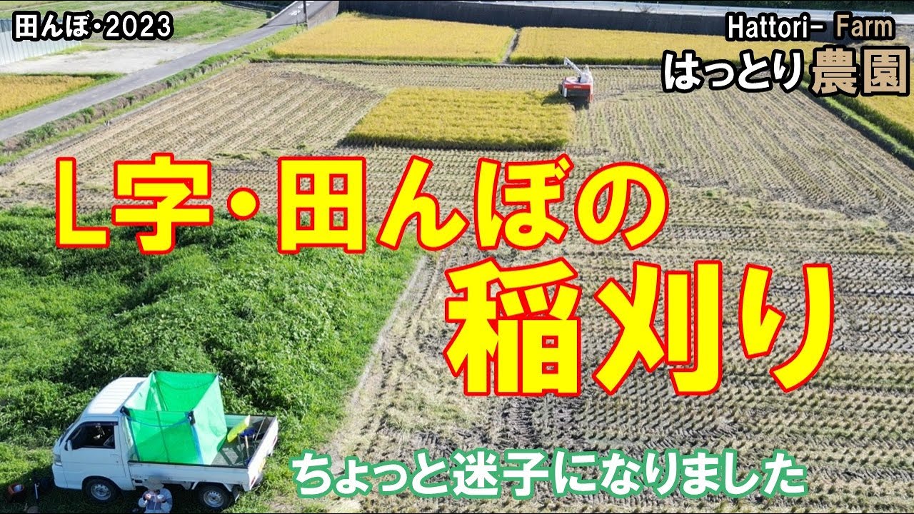 洗車場の田んぼ・稲刈り　田んぼ・2023　20230829　クボタ・ER323