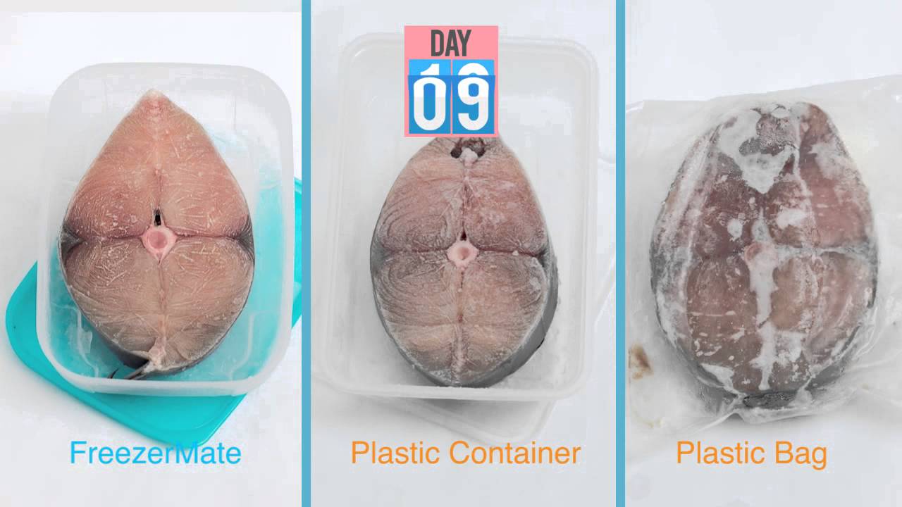 Tupperware FreezerMates - Fresh as First Frozen