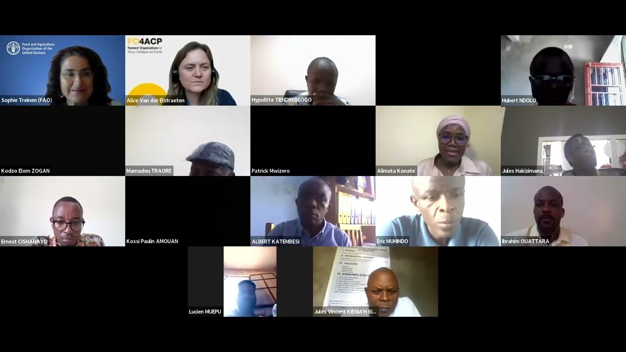 Webinaire 4– Capitalisation: Documenter et partager. Un exemple de feedback avec les auditeurs radio