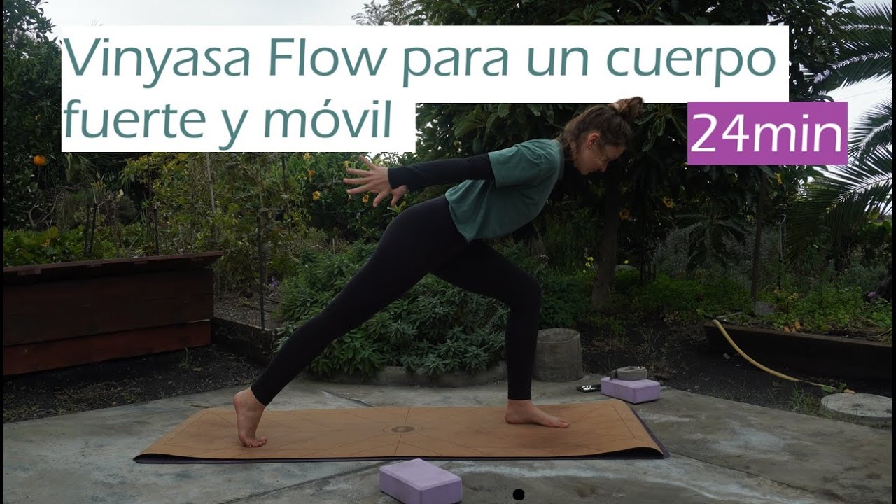 Yoga Diario | 25 Min para Fortalecer todo el Cuerpo, Nivel principiante - intermedio