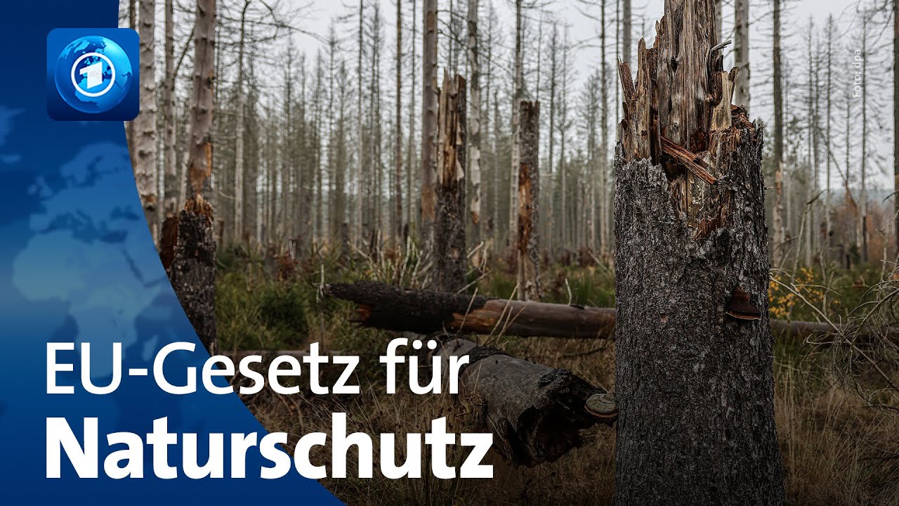 EU einigt sich auf Gesetz zur Renaturierung