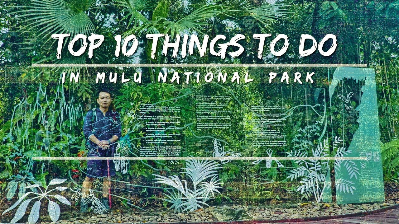 Top 10 Things You Can Do In Mulu National Park | Sarawak Borneo
