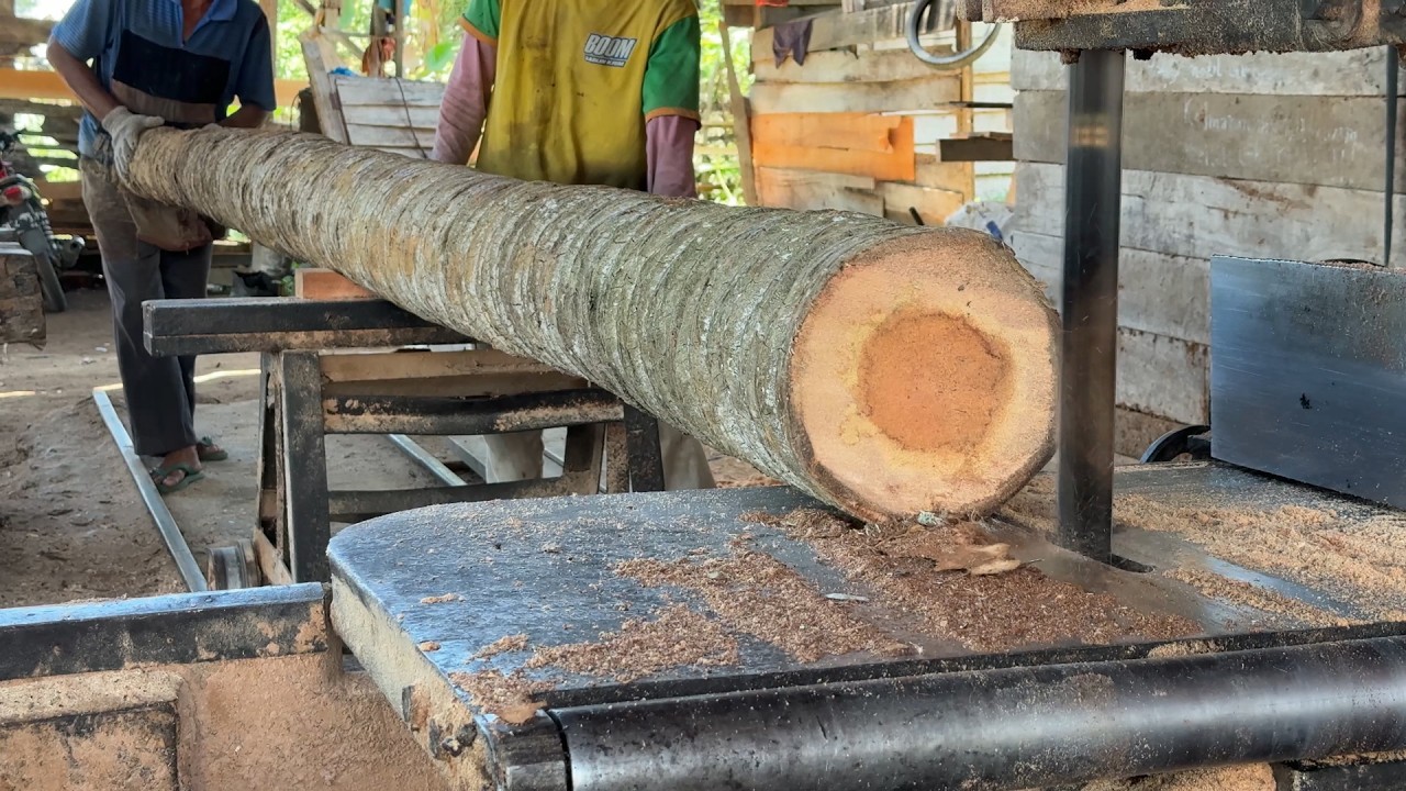 Sawing a coconut tree with a size precision of 2x20