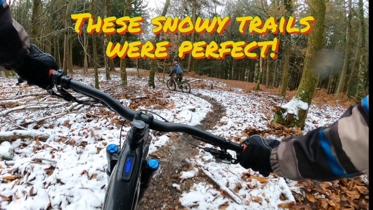 Winter Ride in the Forest of Dean