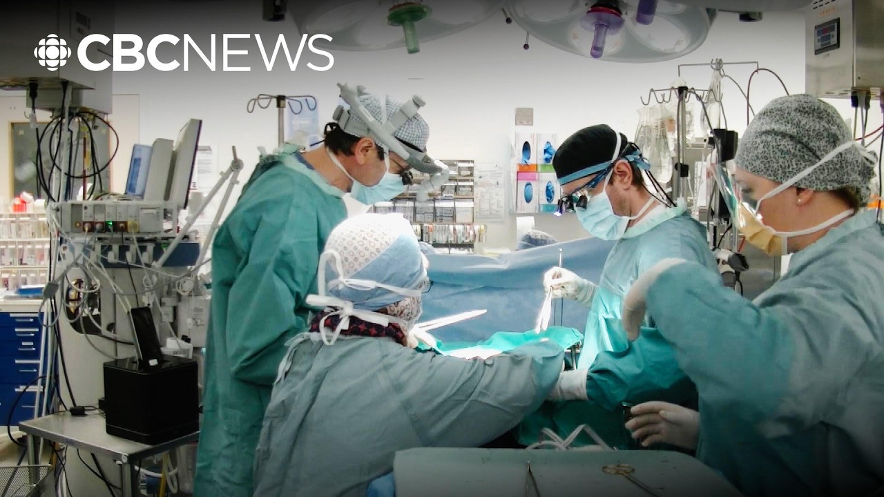 Alberta government creating triage doctor role