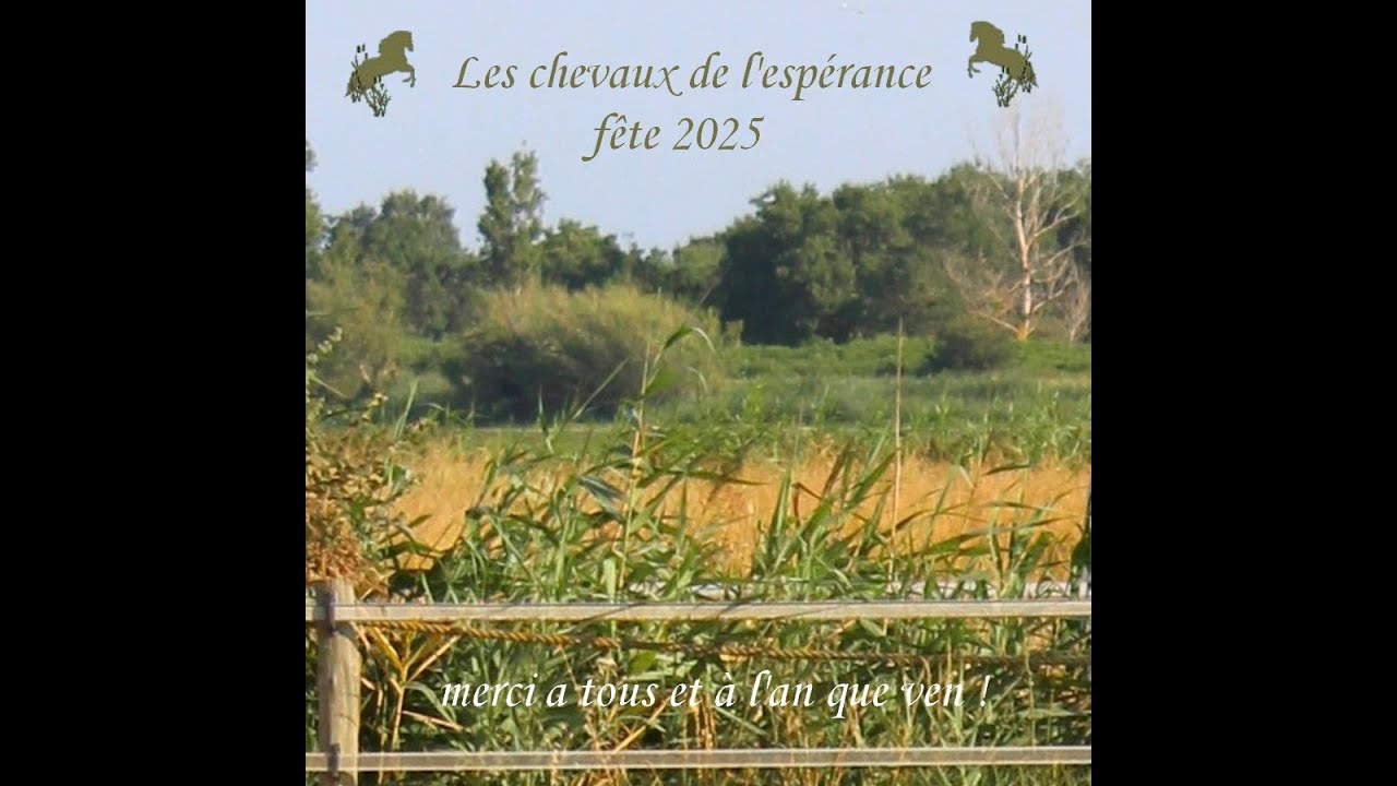 fête de fin d'année avec les chevaux de l'espérance