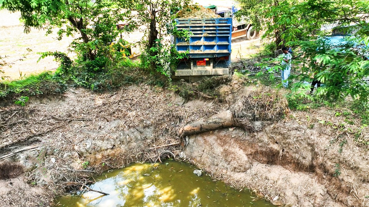 First Start Opening New Project.! Landfill Delete Deep Fish Pond By Skills Dozer D20A & 5ton Truck​
