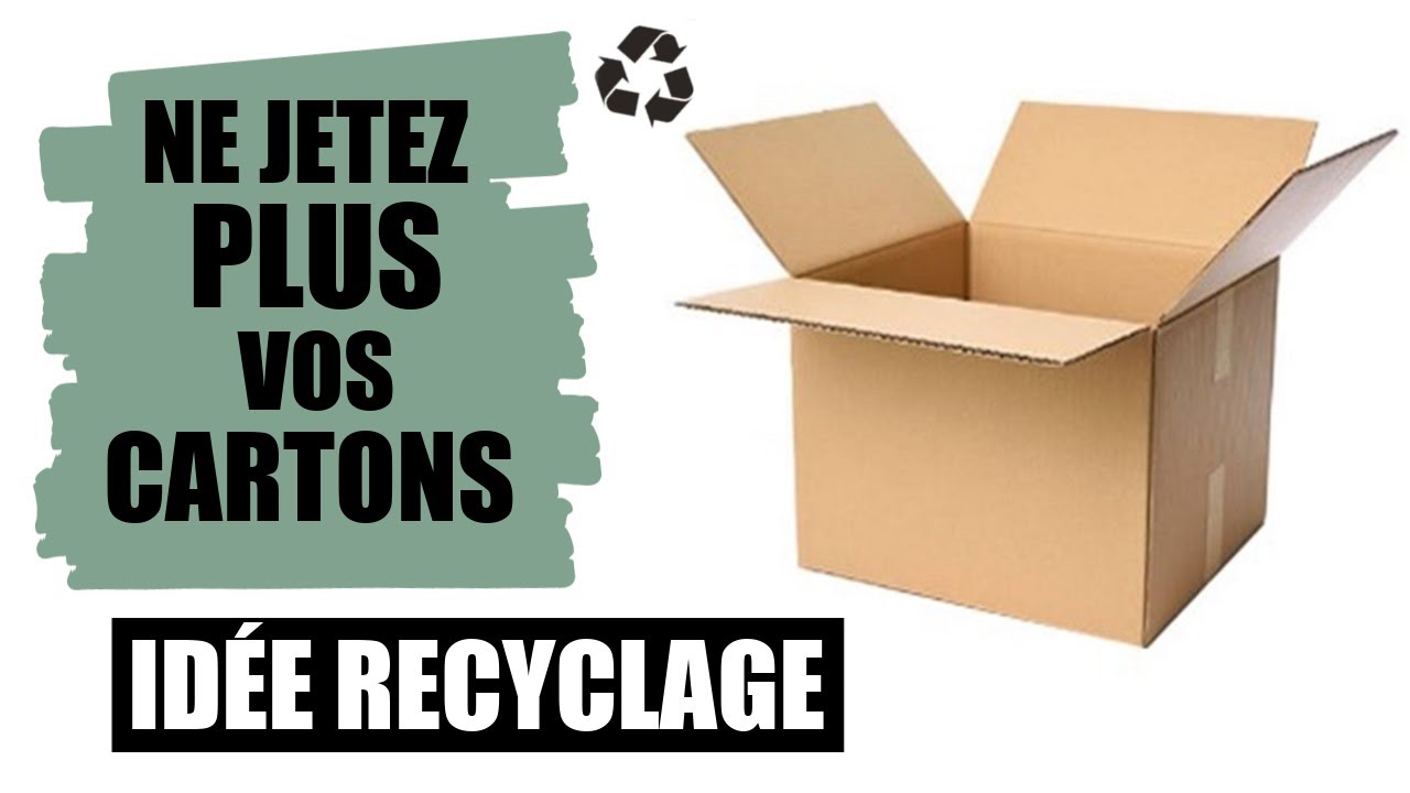 REGARDEZ CE QUE J'AI FAIT AVEC UN MORCEAU DE CARTON (VIDÉO BONUS)